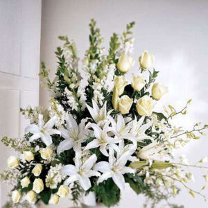 Palma Flores Naturales
