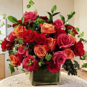 CUBO 24 ROSAS